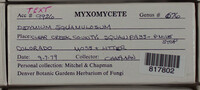 Image Associated With the Occurence